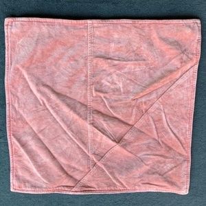 Pink Velvet West Elm Pillow Case